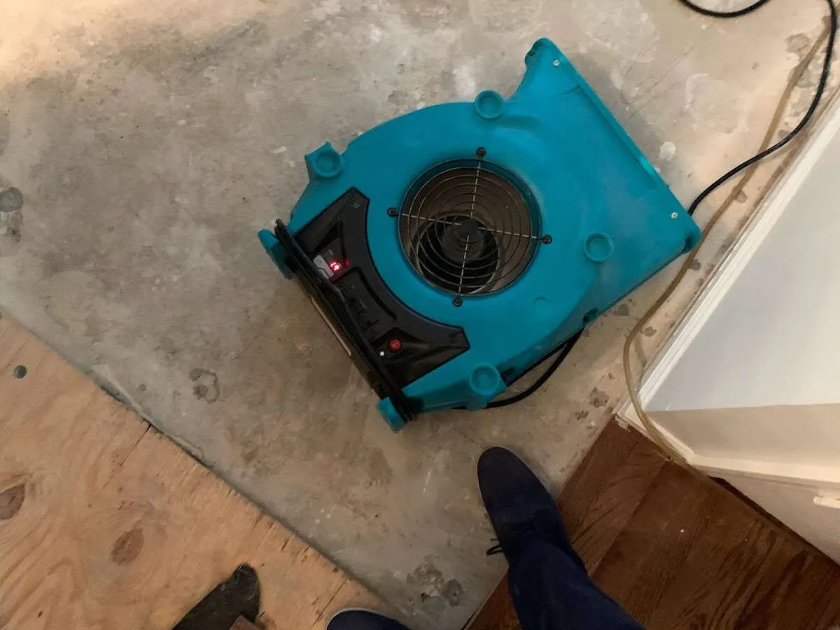 Air mover drying subfloor during Commercial Water Damage Restoration in Kingston